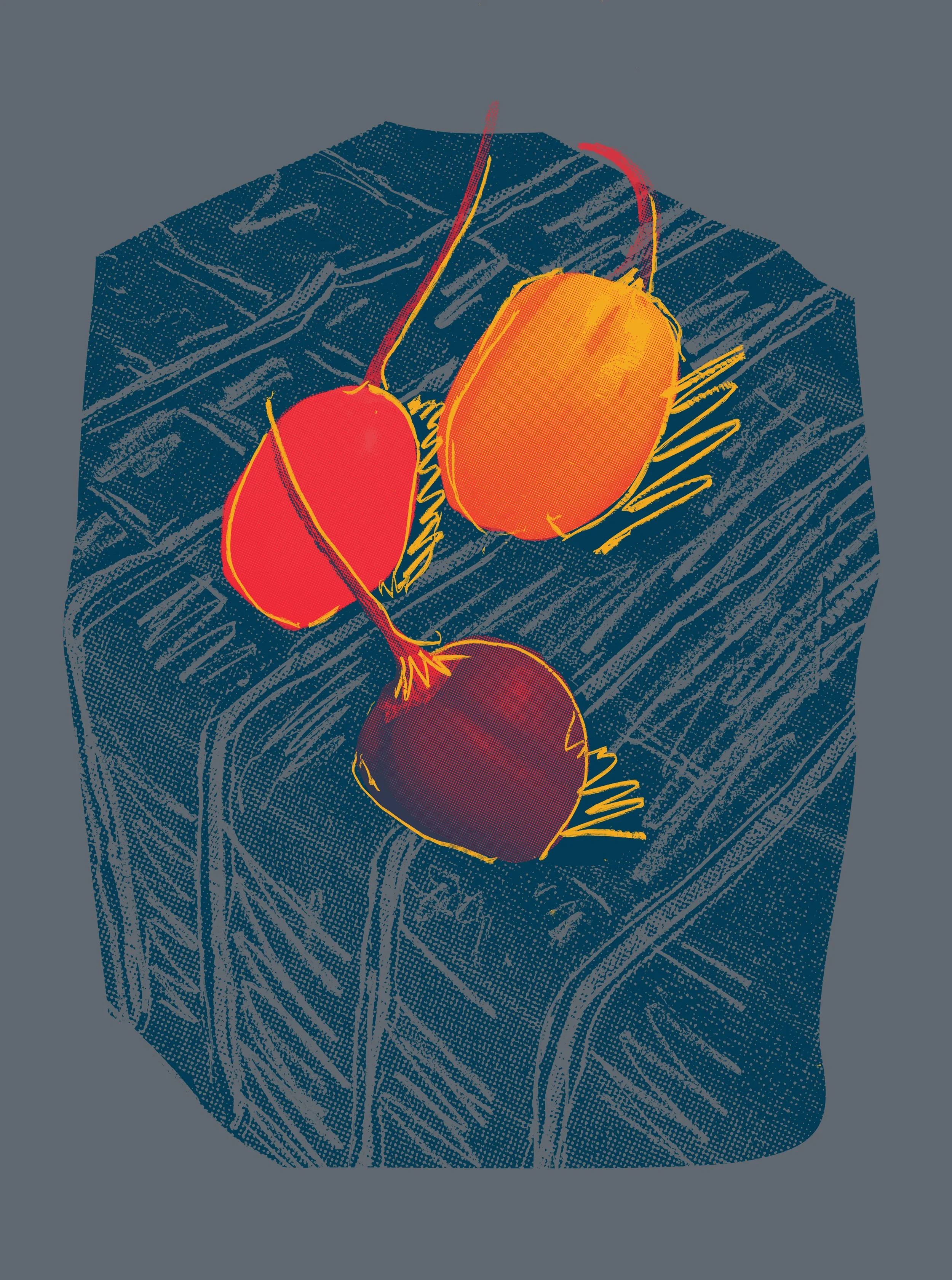 peppers on tablecloth copy 3.jpg