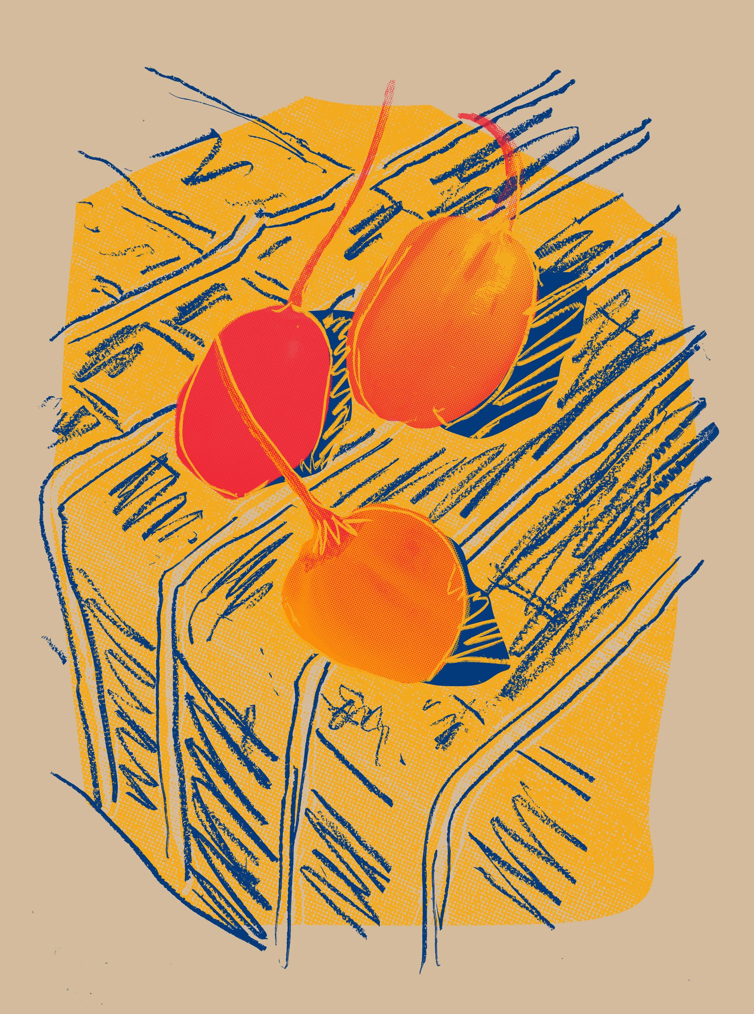 peppers on tablecloth.jpg