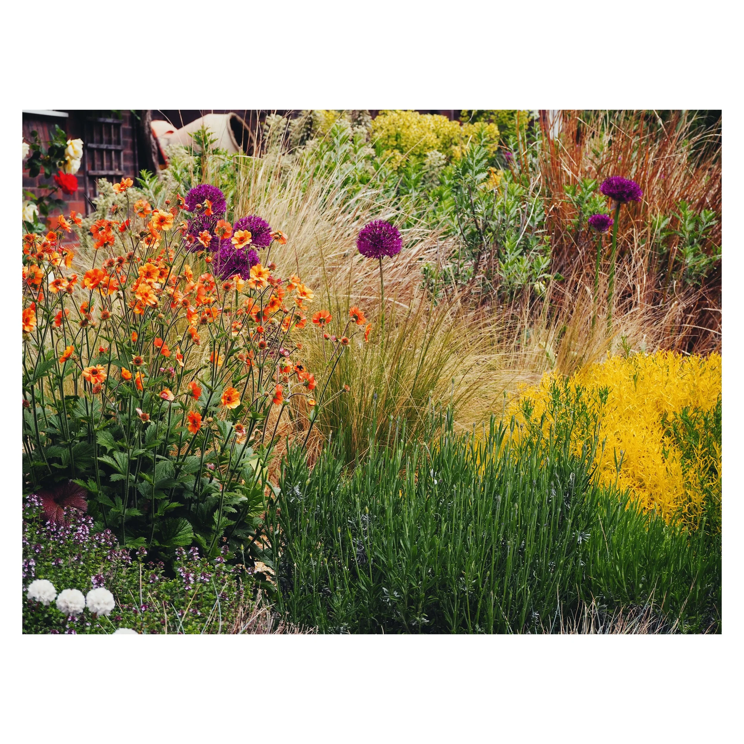 A4958EA1-6A00-4FAB-9CF6-2560292E45E6 2.jpeg