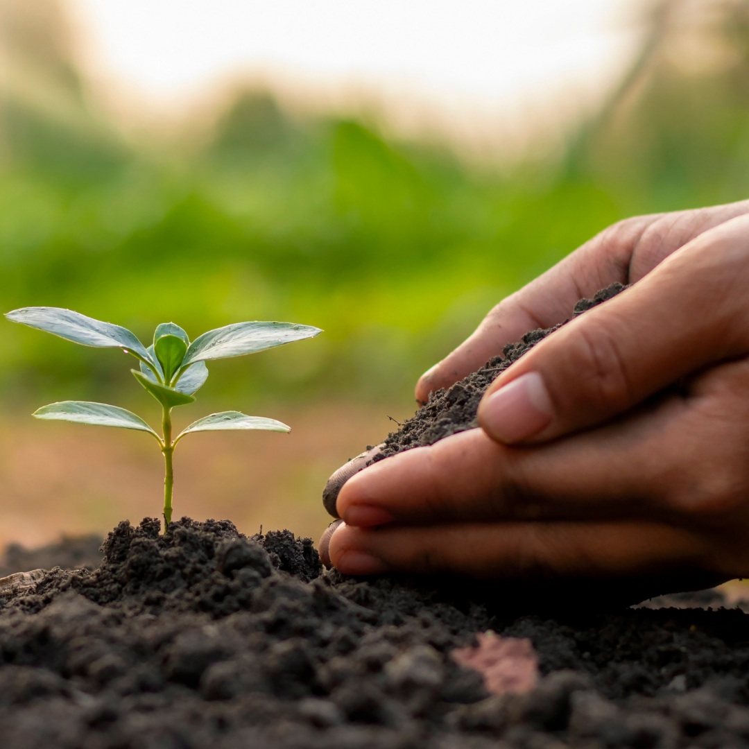 Gardening with the environment in mind