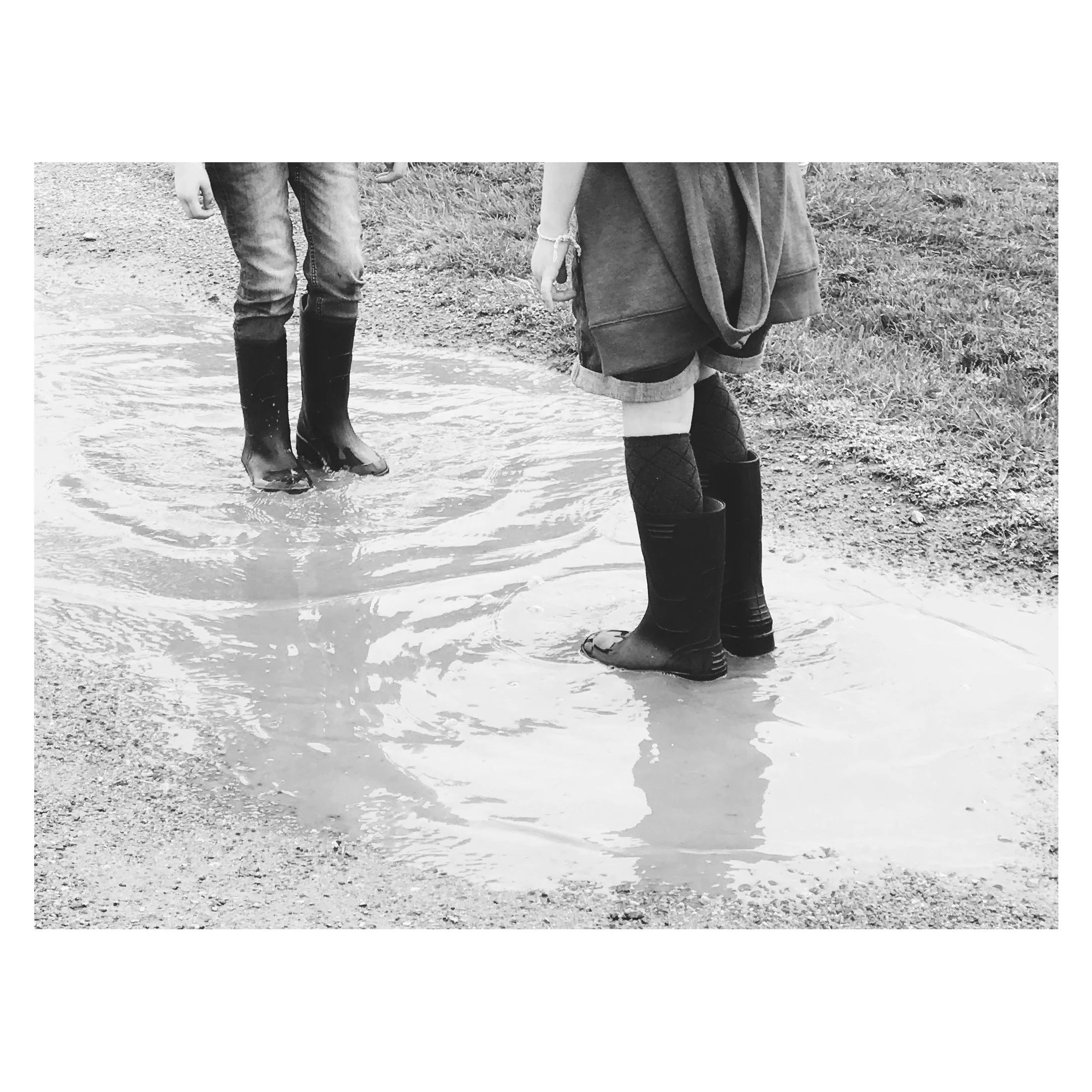 Gardens, flower shows and arboretums: the ultimate survival guide for teenagers.