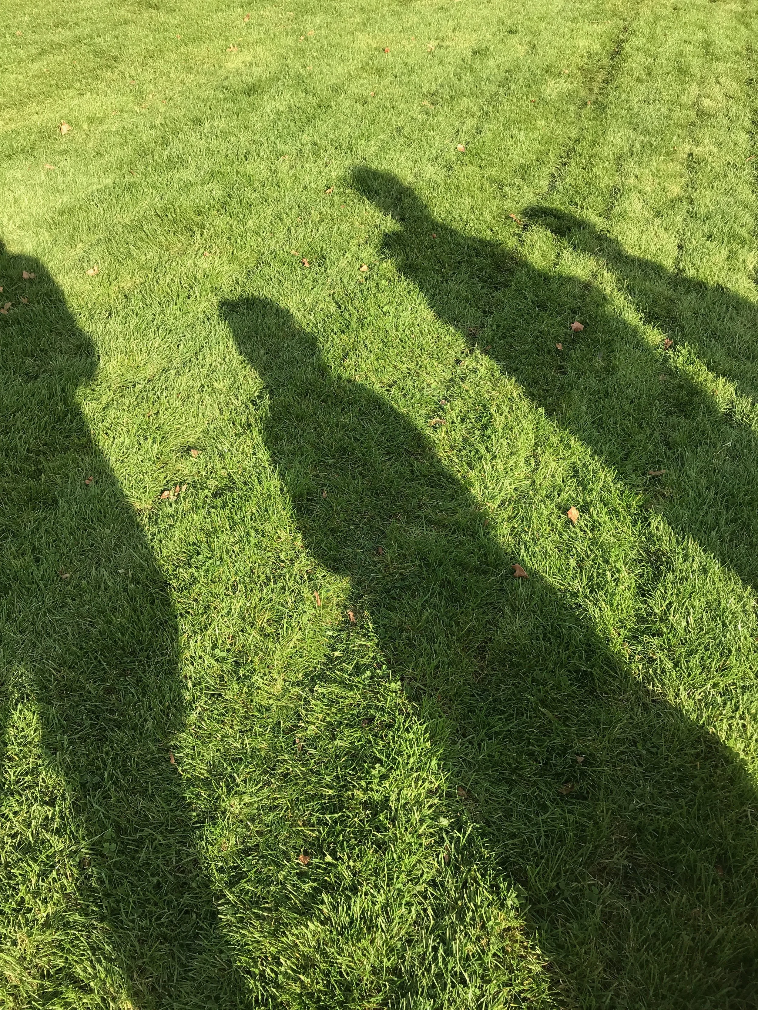 Artificial lawns: to be or not to be?