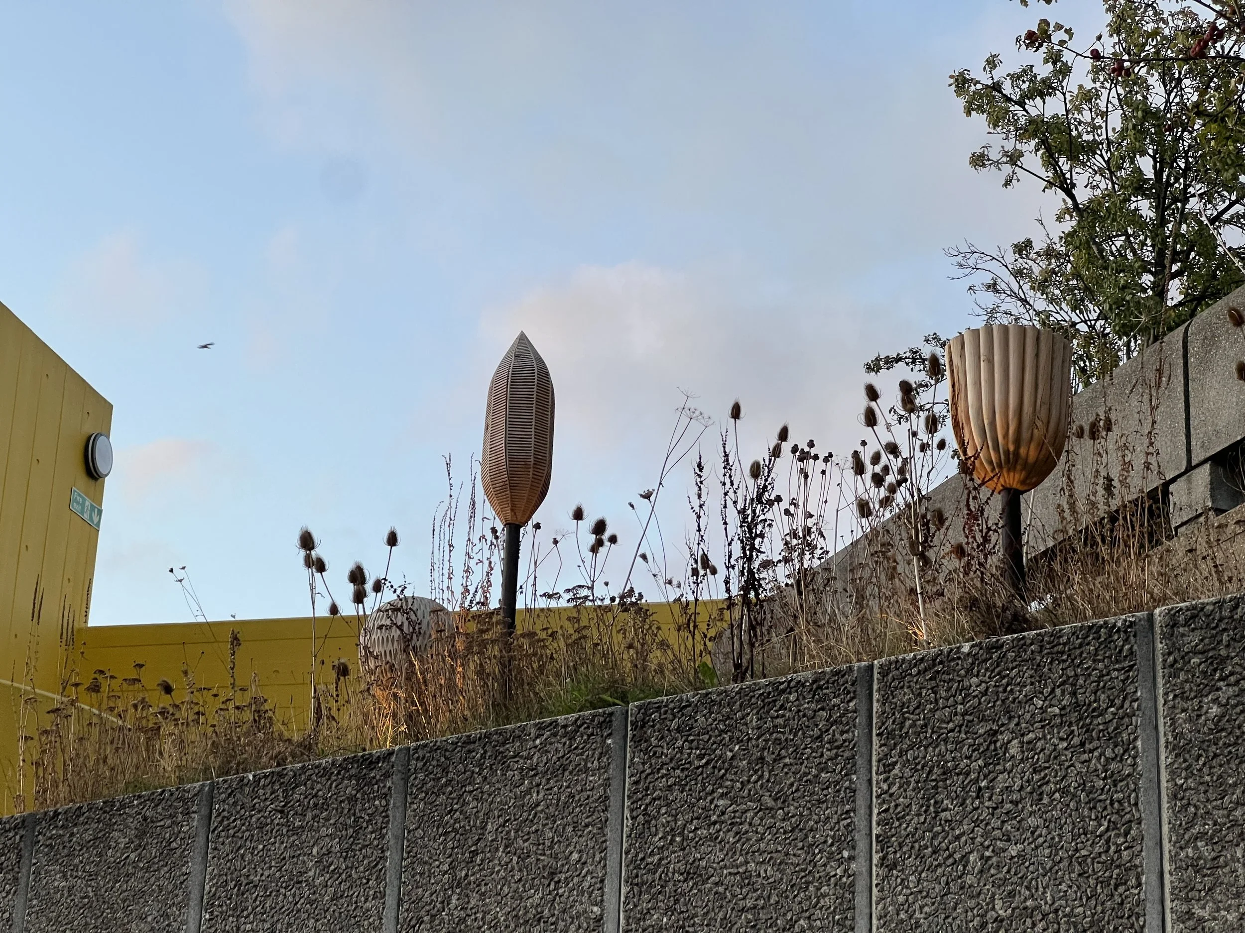 Cultivate your garden