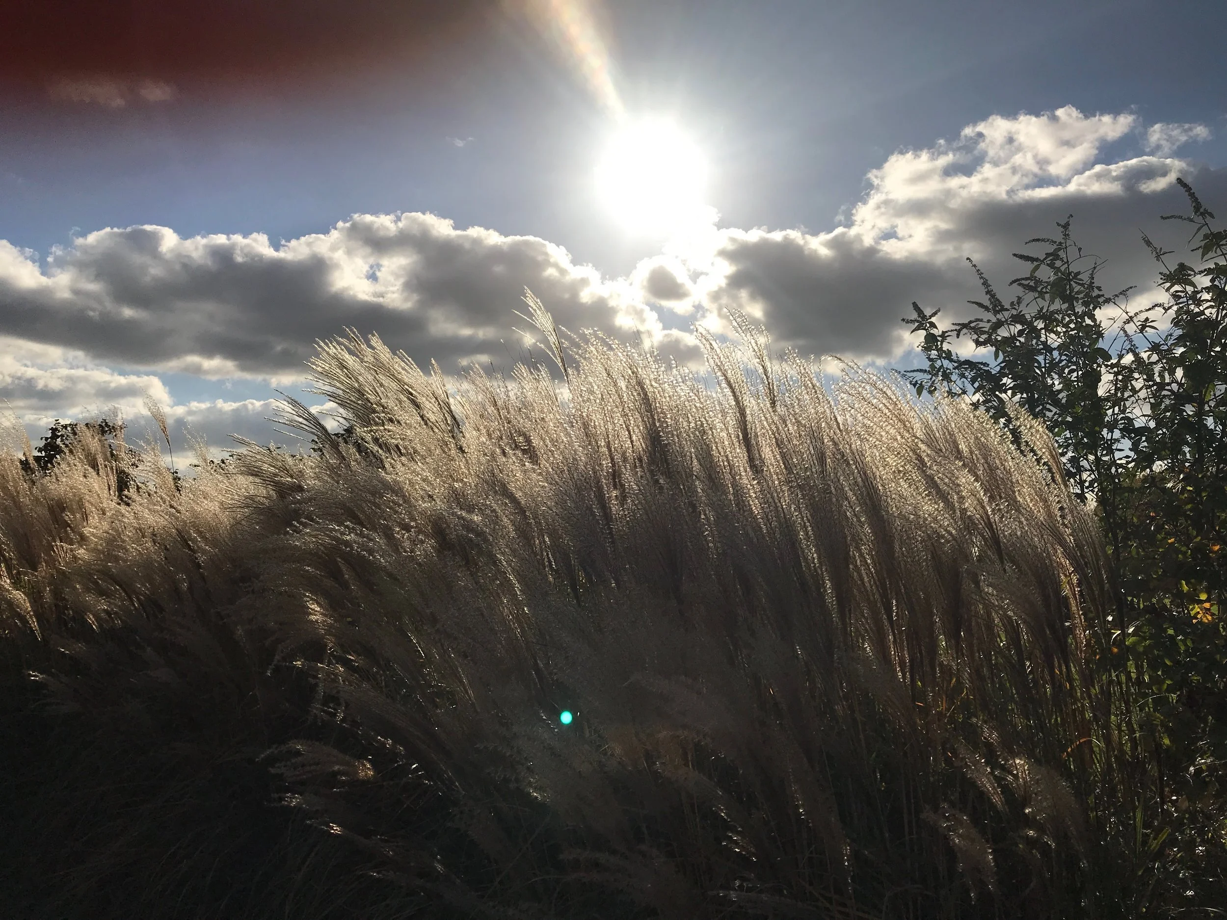 Winter goals; it may be cold