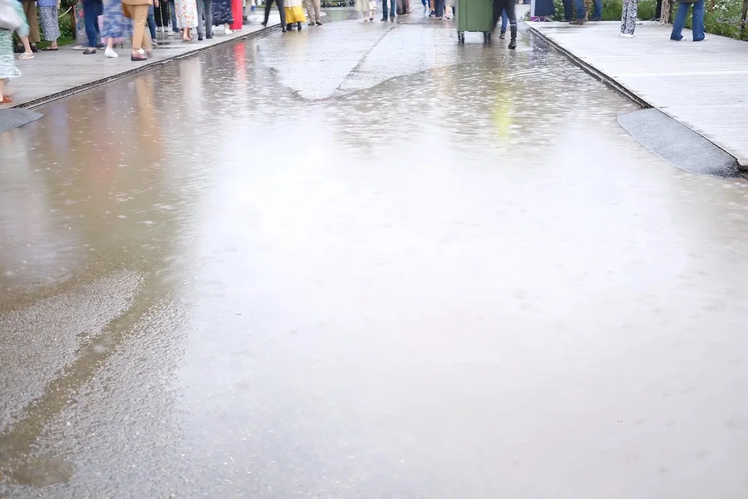 RHS Chelsea Flower Show 2024