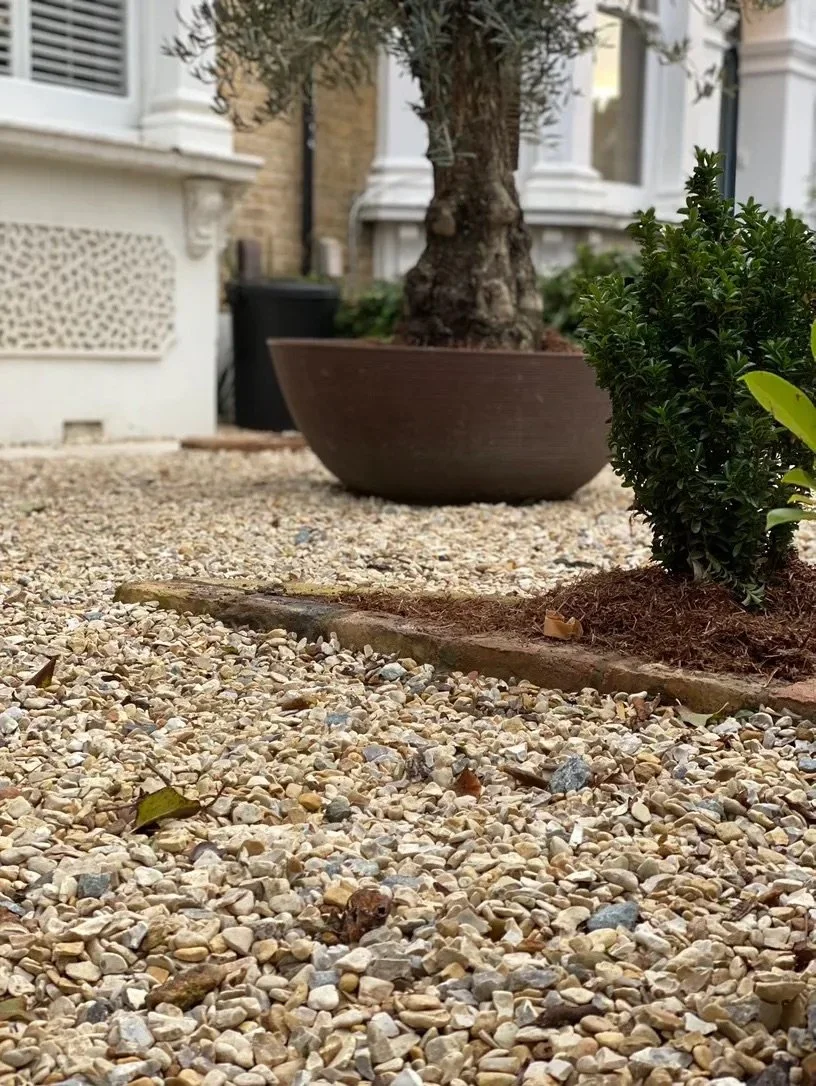 New Look, Low Effort: