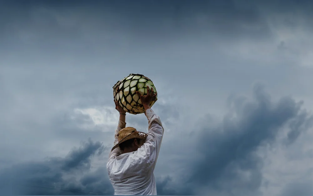 tierra-y-libertad-an-additives-free-tequila-tierra-y-libertad-is-an