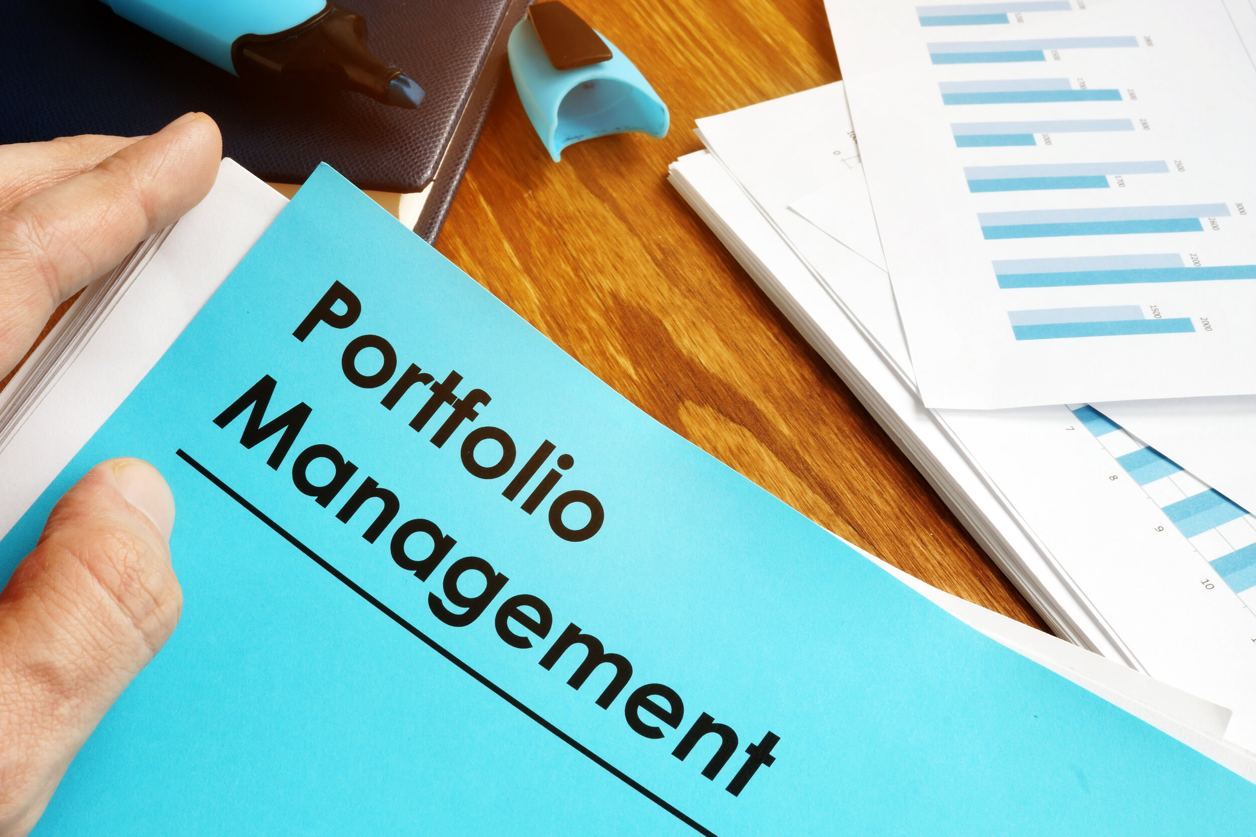 PORTFOLIO MANAGEMENT