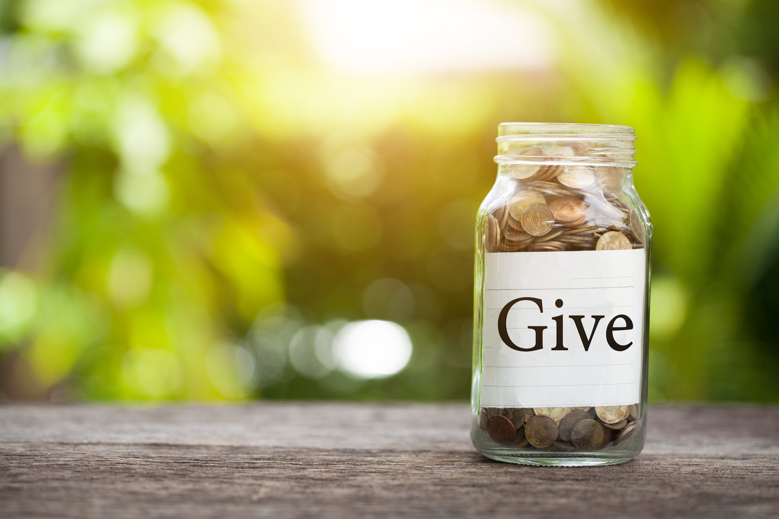 CHARITABLE GIVING