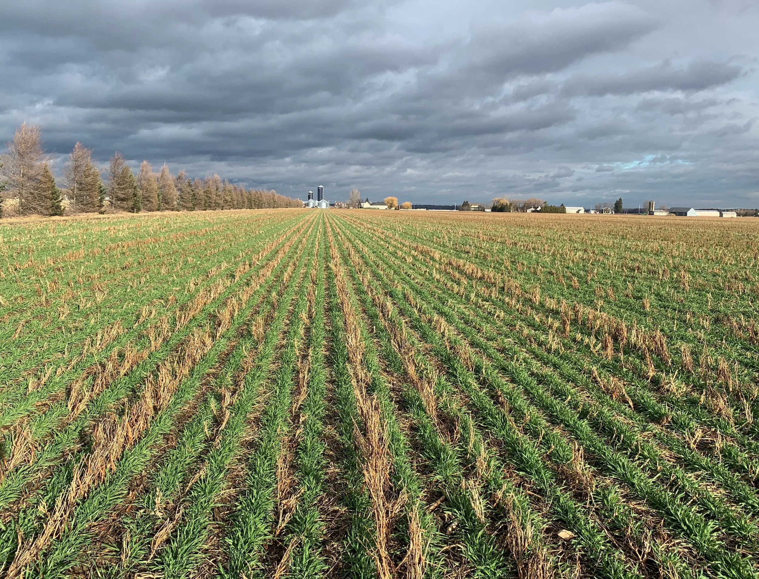 Statement on Agricultural Climate Solutions Program Announcement