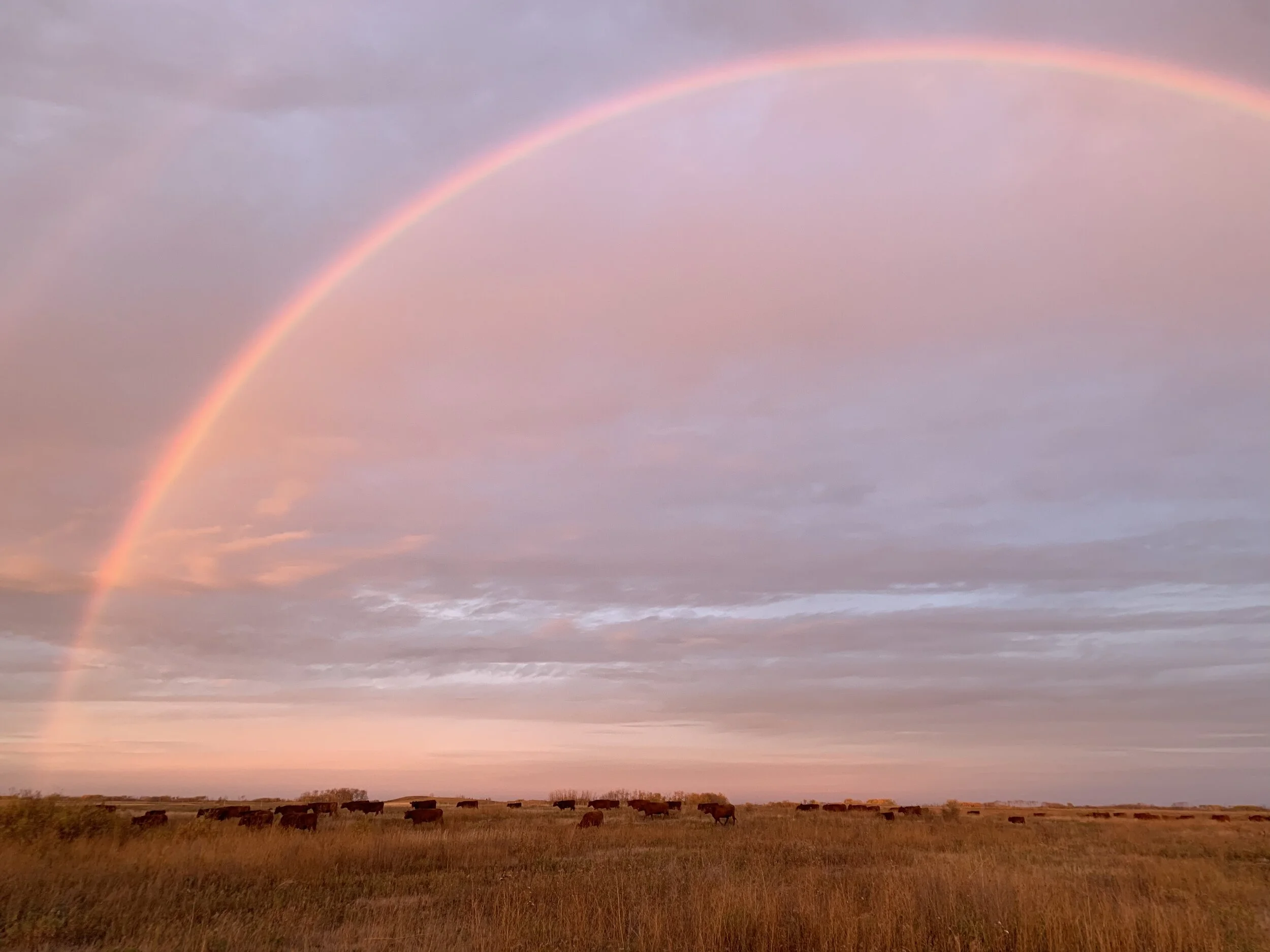 Commitment to Equity — Farmers for Climate Solutions