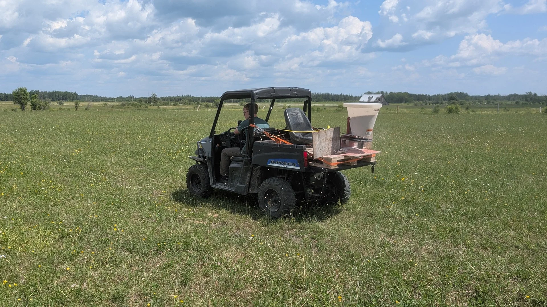 Sulfur fertilization and overseeding to maximize symbiotic nitrogen fixation in pastures