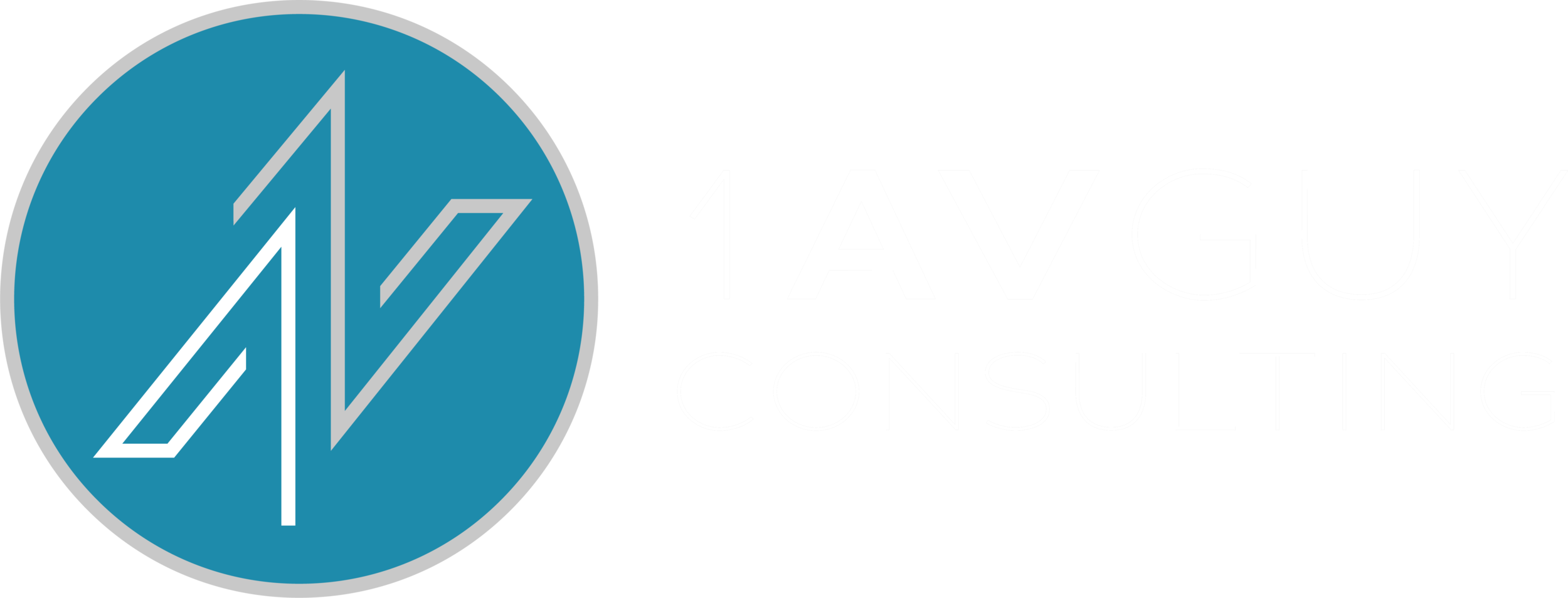 1AV Guy Consulting