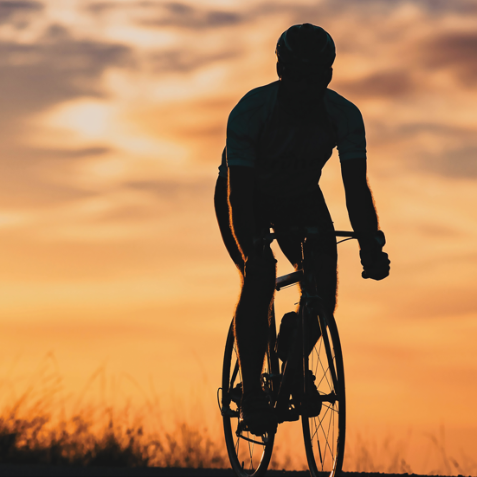 2026 Worldwide Ride of Silence
