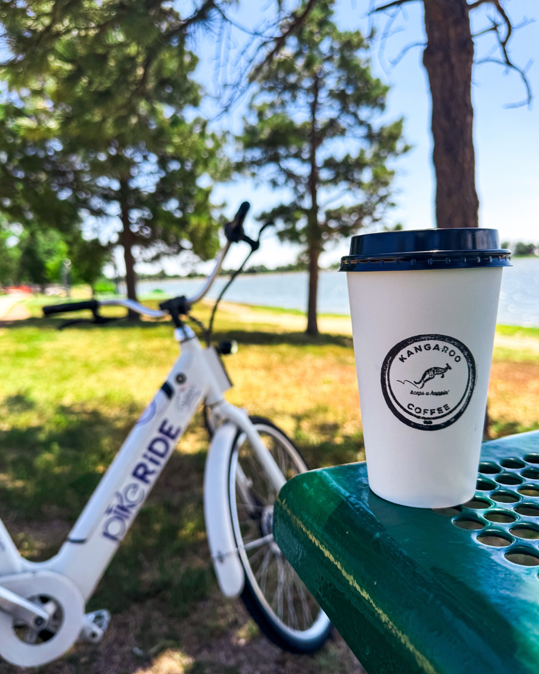Summer Music Series at Kangaroo Coffee