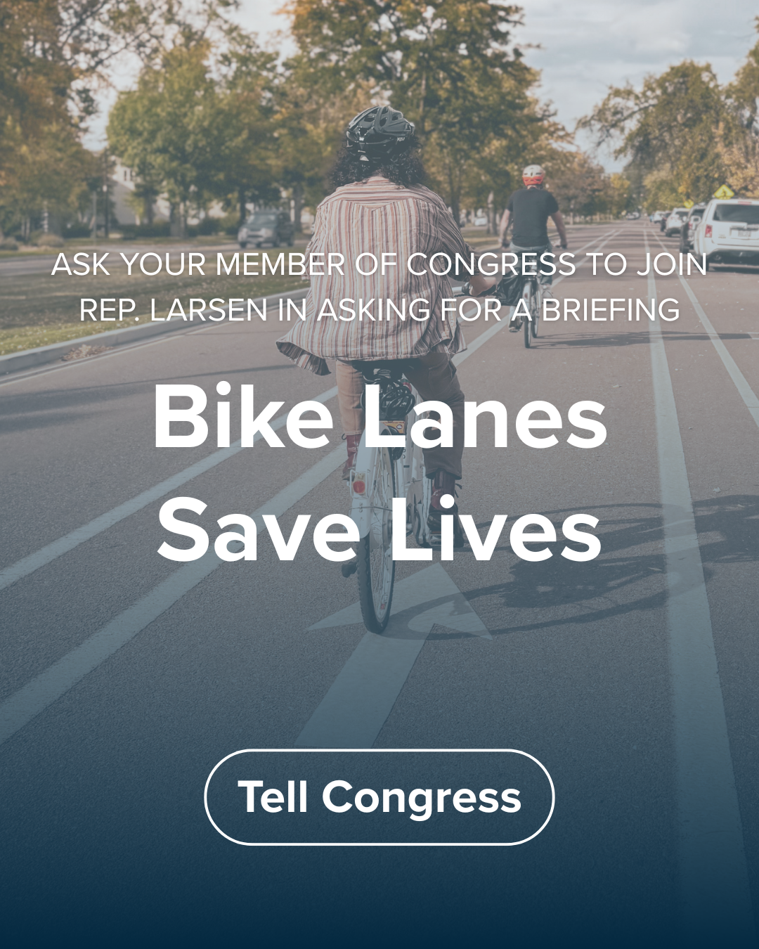 Bike Lanes.png