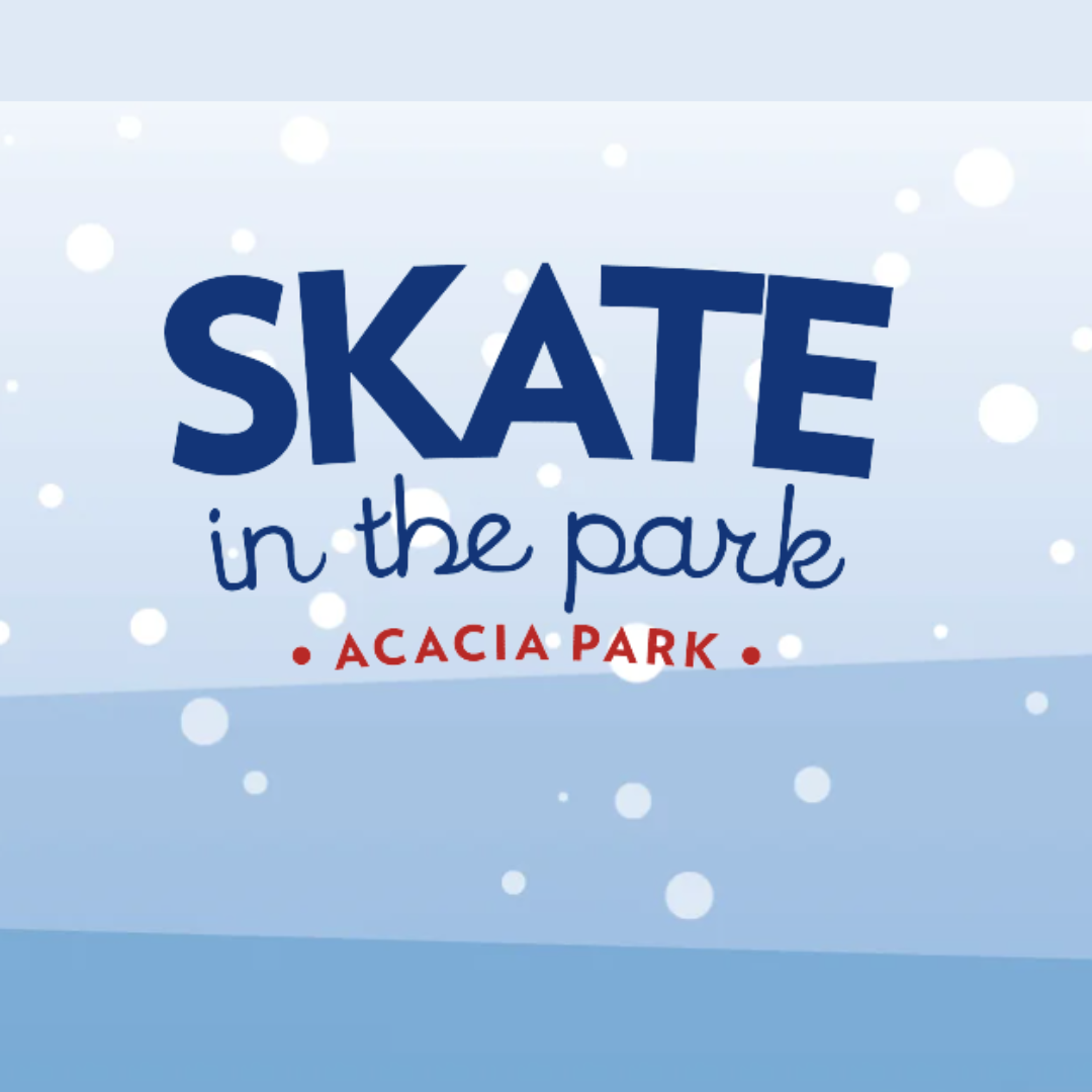 Skate in the Park