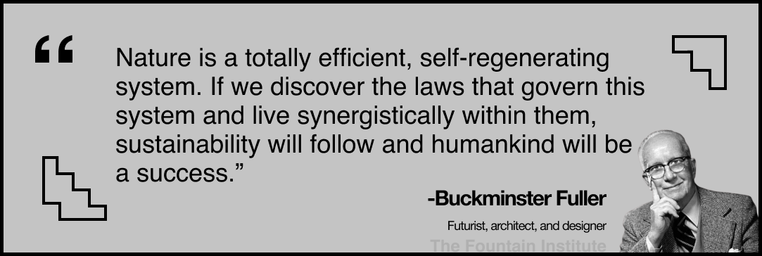 Buckminster Fuller quote on nature as a system synergy spaceship planet earth