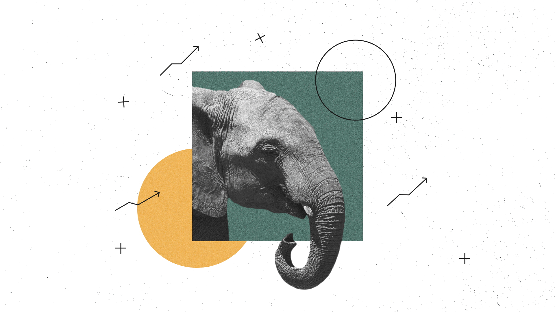 The Year of the Woman: 2018