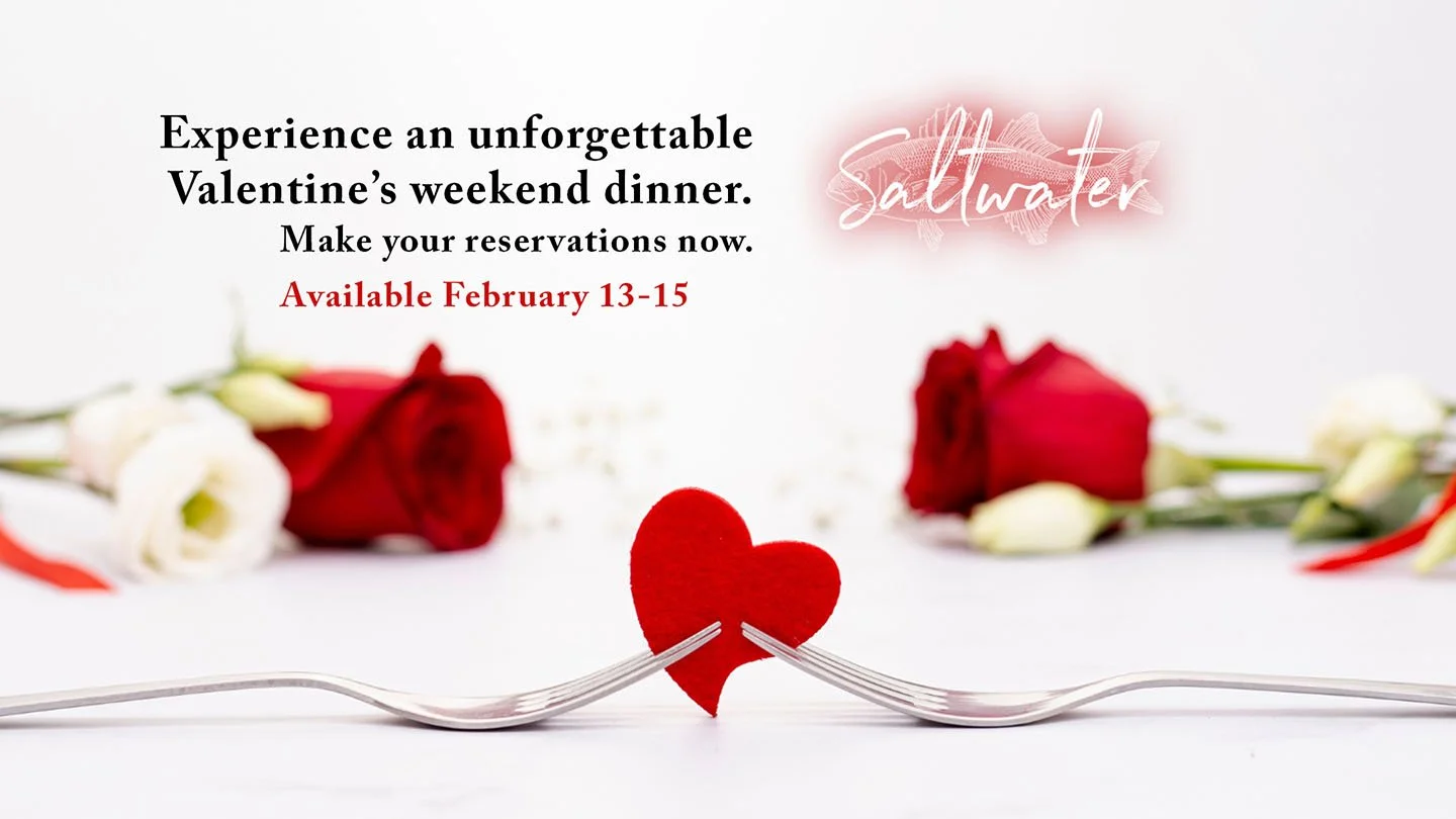 vday 2026 saltwater hero.jpg