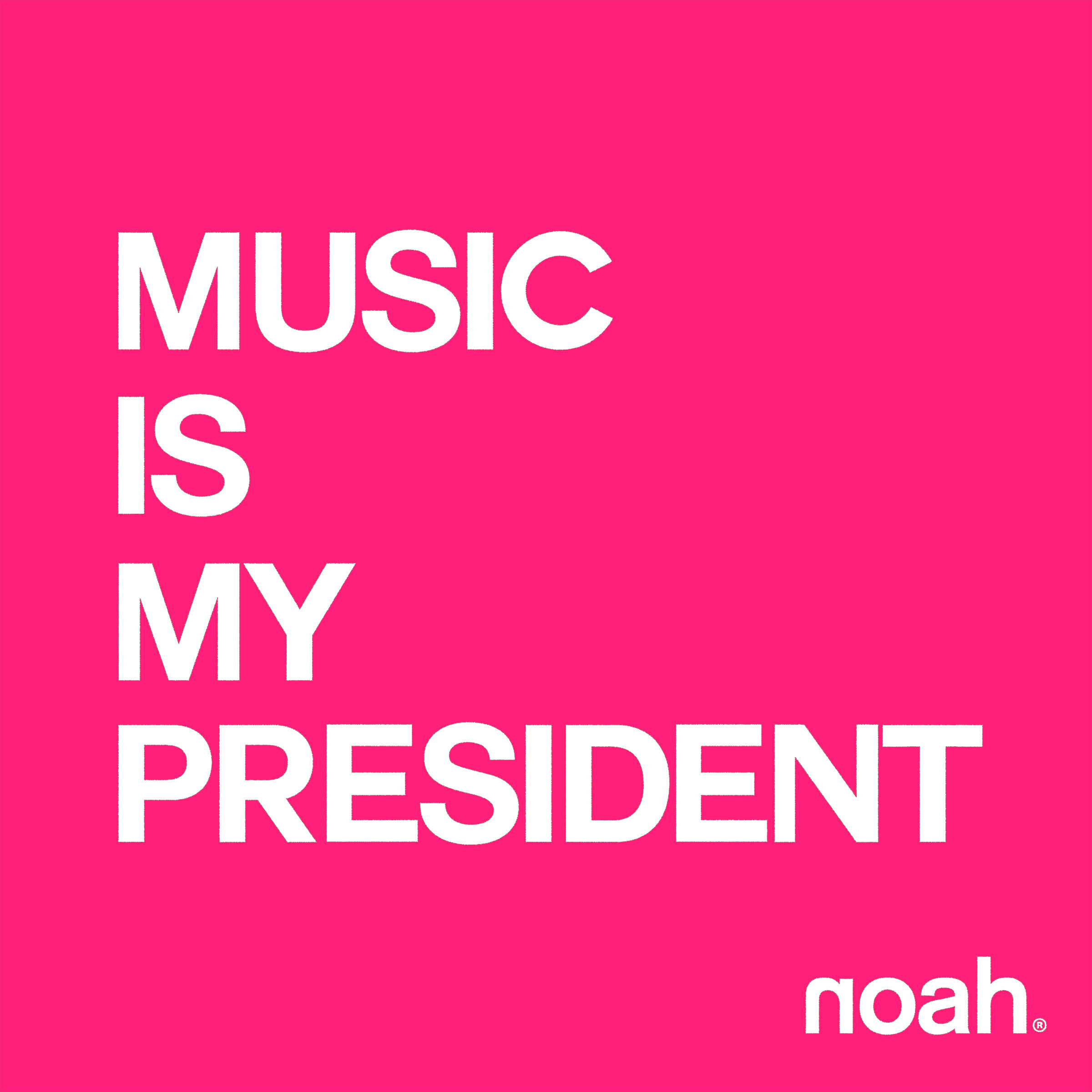 PINK Music Is My President PROMO ART.jpg