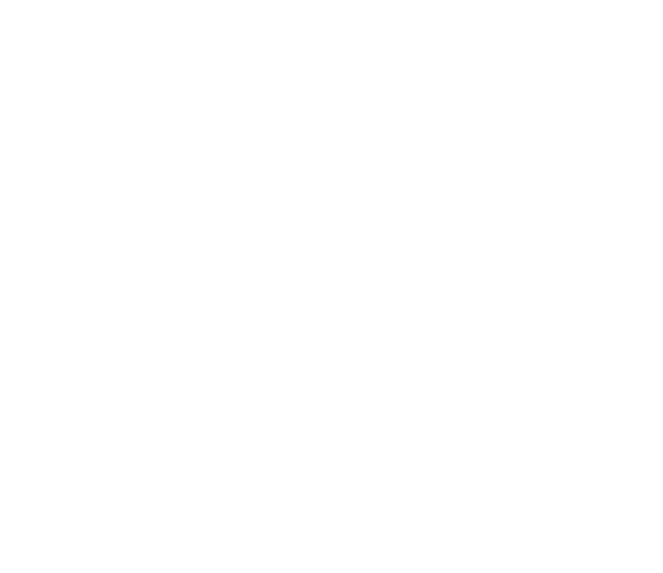 Bonfire Effect &mdash; A Colorado Creative Agency 