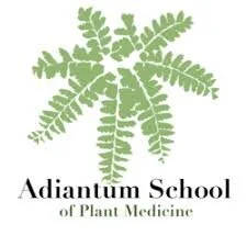 Adiantum School