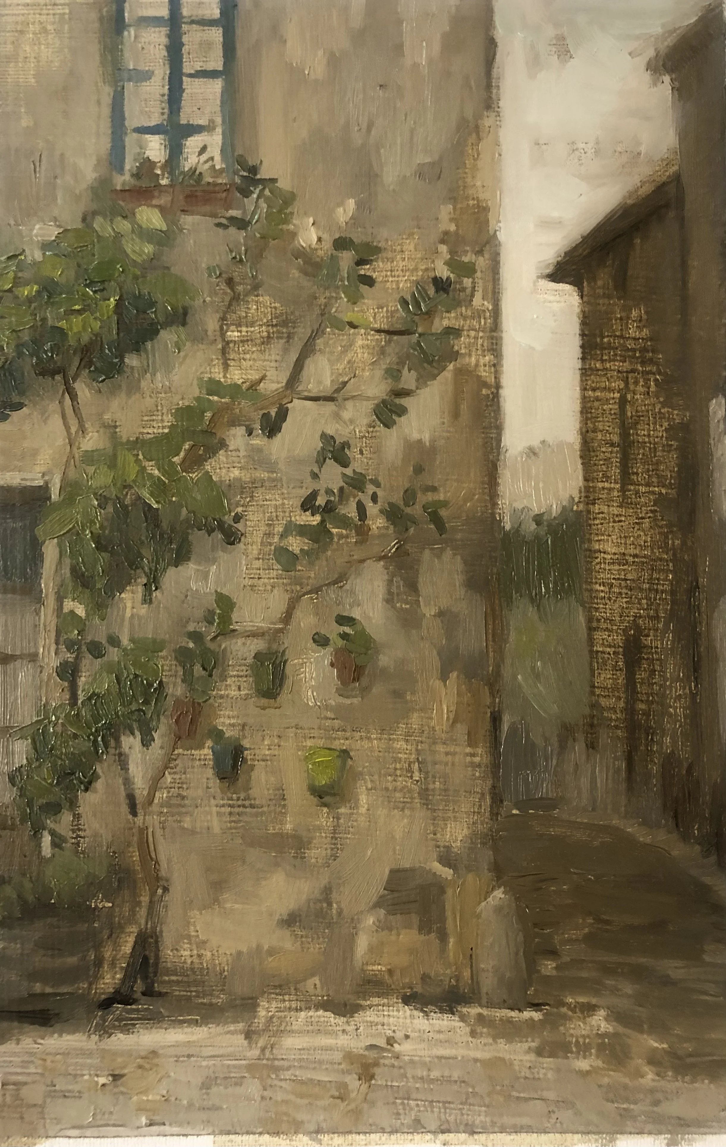 Oil painting of a rustic outdoor scene, Legrasse, France with a potted plant and a wall, featuring a ladder and some containers on the ground.