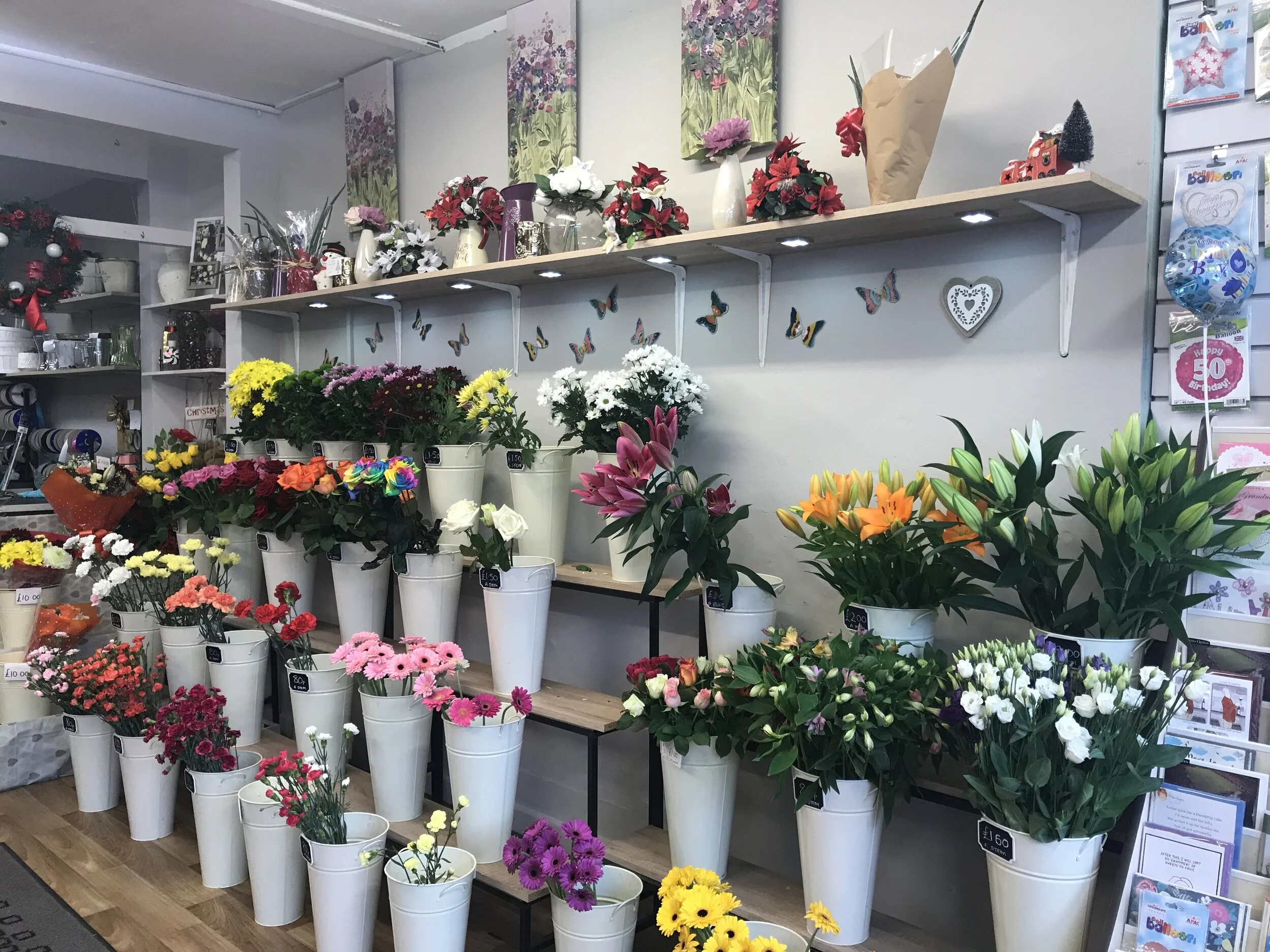 Bristol Flower Market Opening Times Best Flower Site