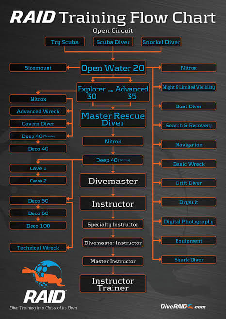 Raid Flow chart.png