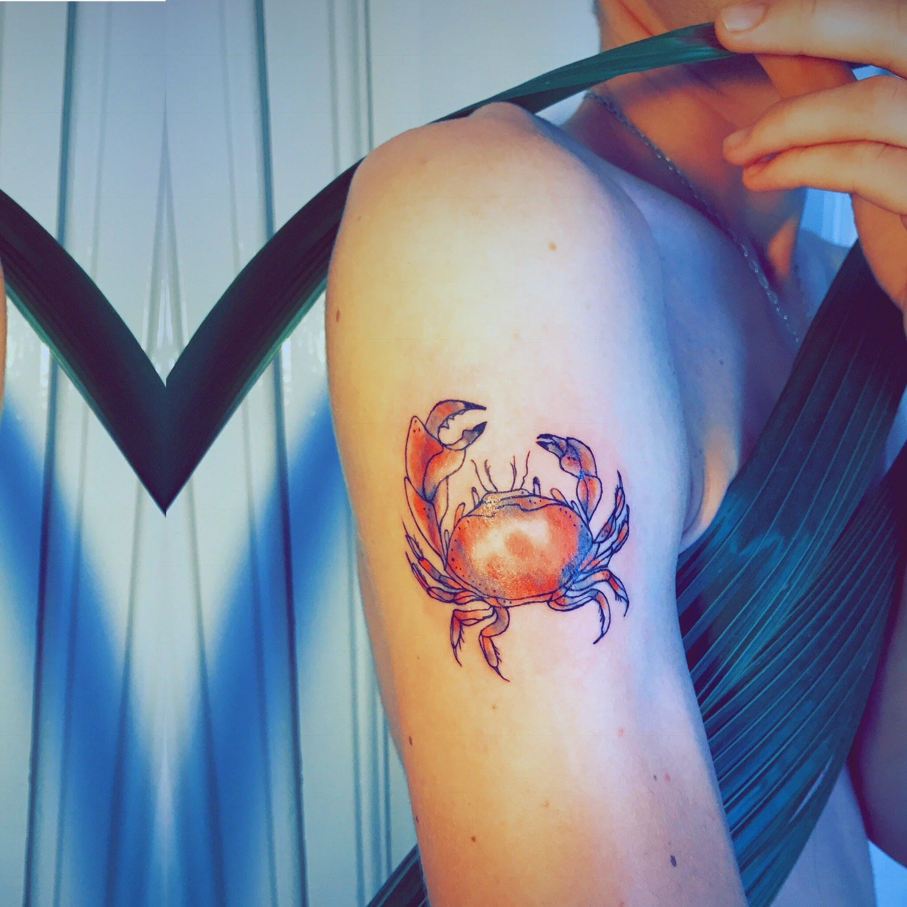 Desiree Steimer // Dates TBC