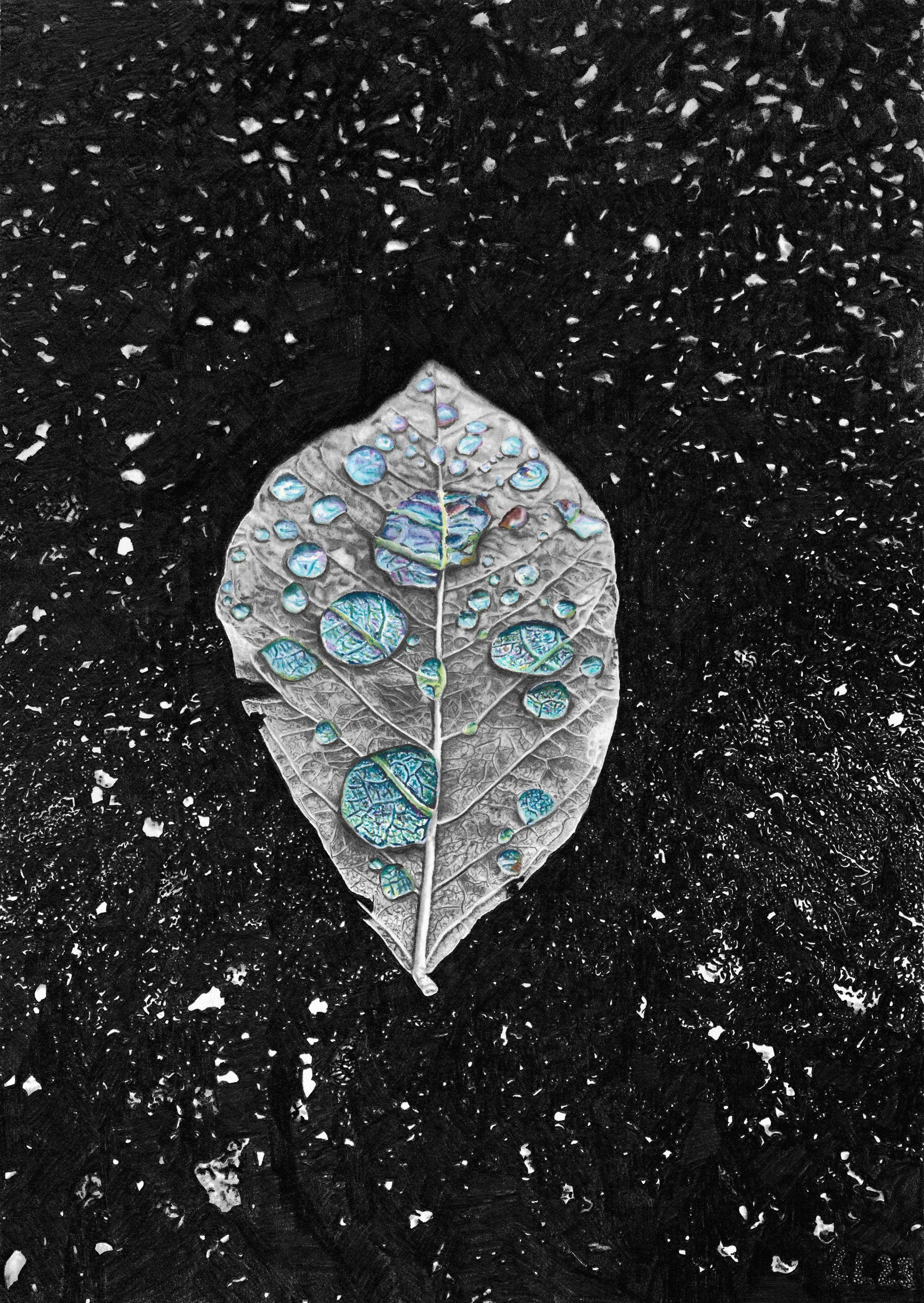 Leaf