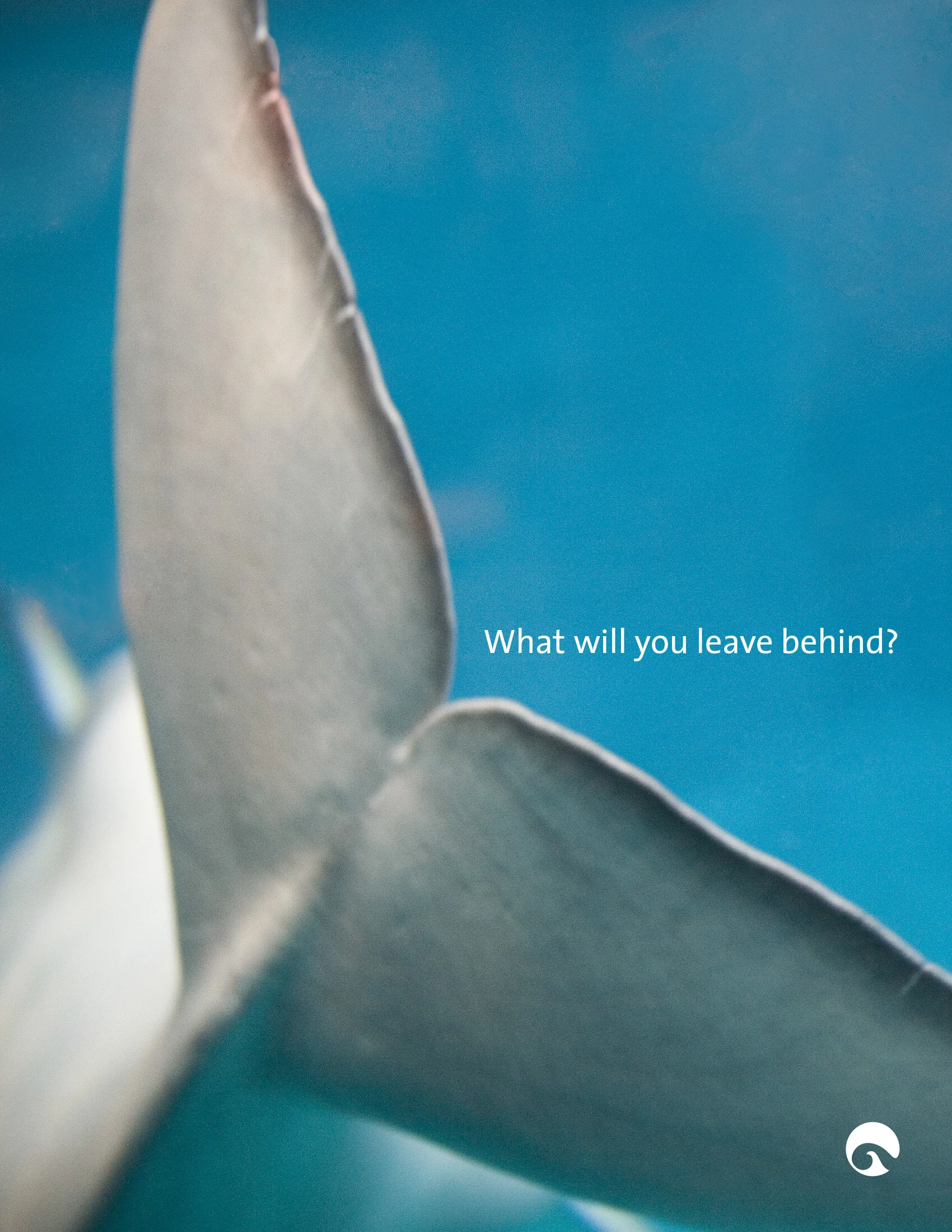 DEV 1246 What Will You Leave Behind?_1.jpg