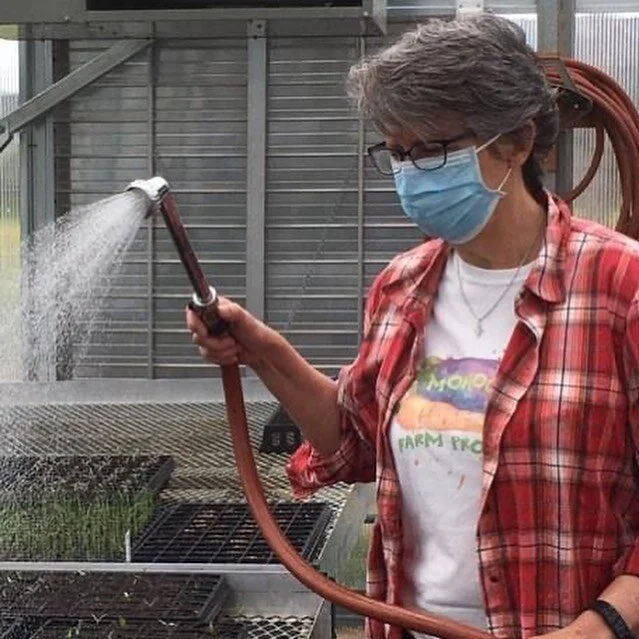 Although most people are staying at home, there are signs of hope in the beauty of spring all around us. Here, Sister Bonnie Marie Kleinschuster, associate Helen McComb and project manager Eli Stogsdill tend to young plants in the greenhouse at our M
