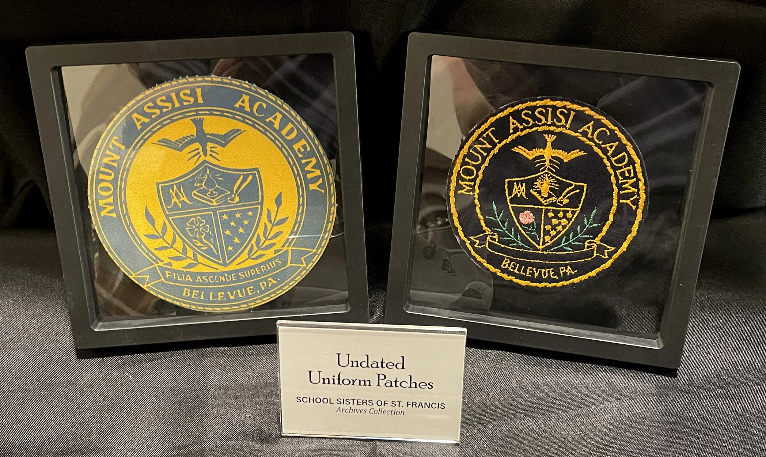 Academy Uniform Patches