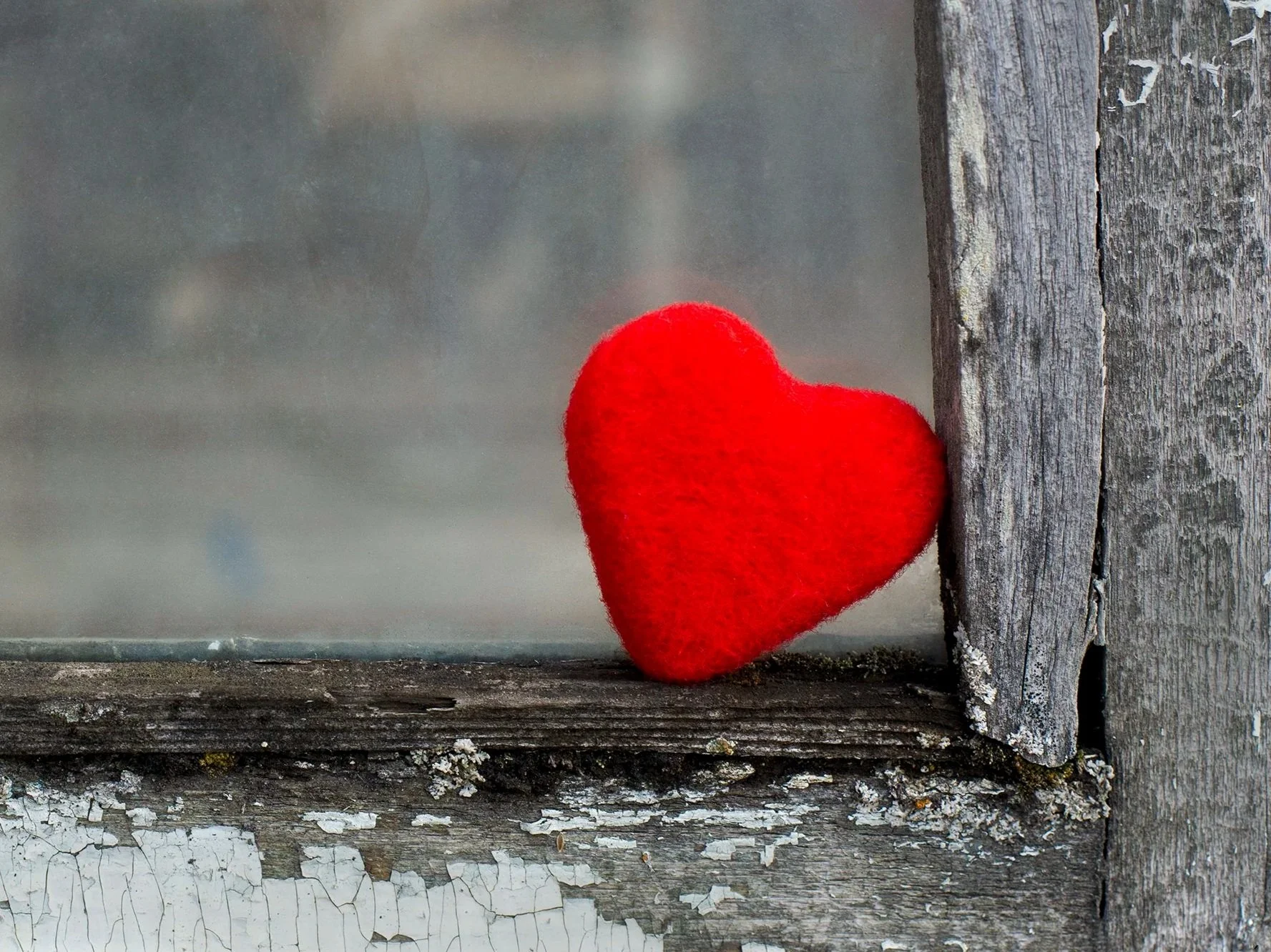 When the Heart Waits Book Study Series