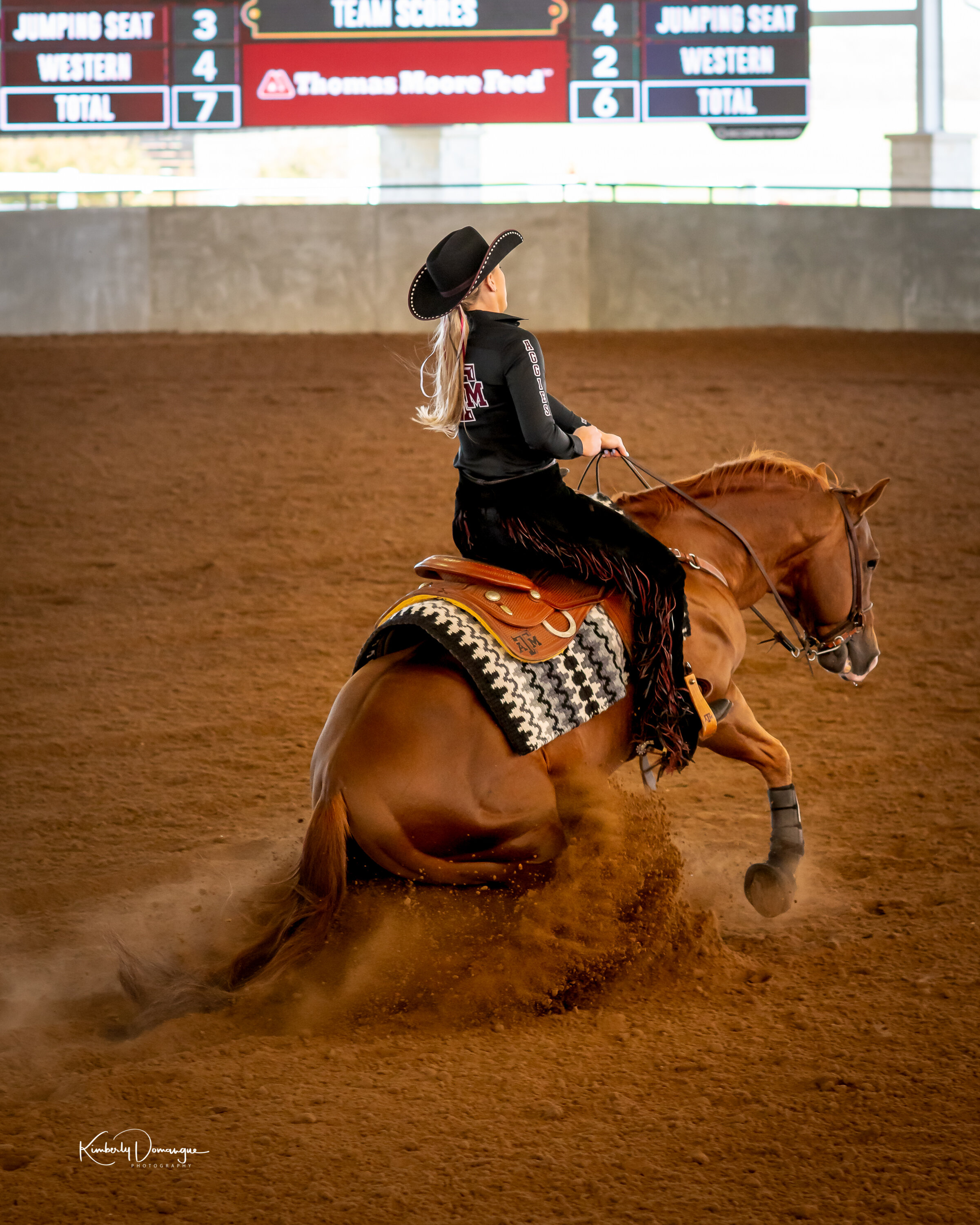 Texas A&M Equestrian Team Equine Photographer