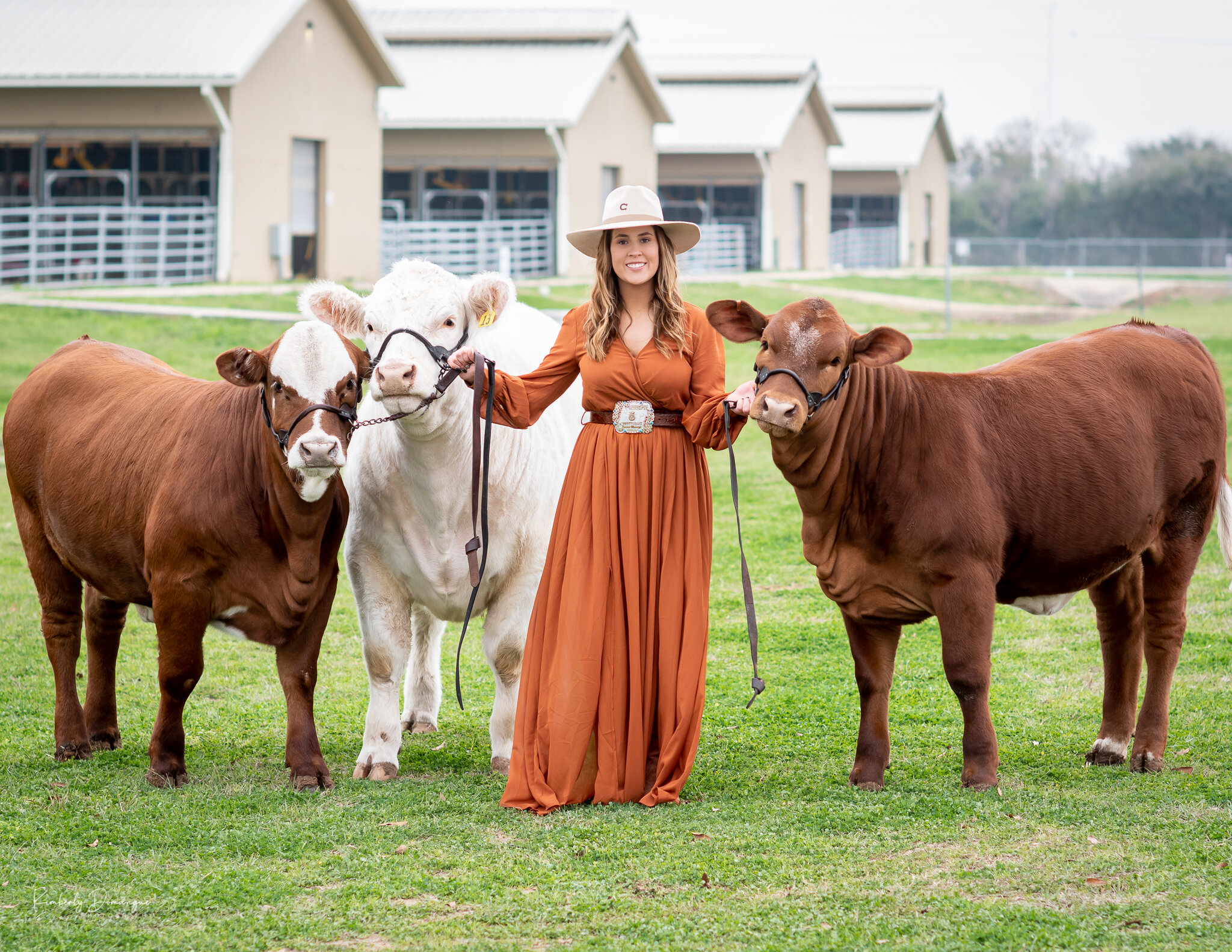 Central Texas Livestock Photographer