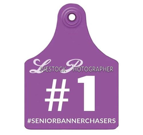 senior+banner+chasers.jpg