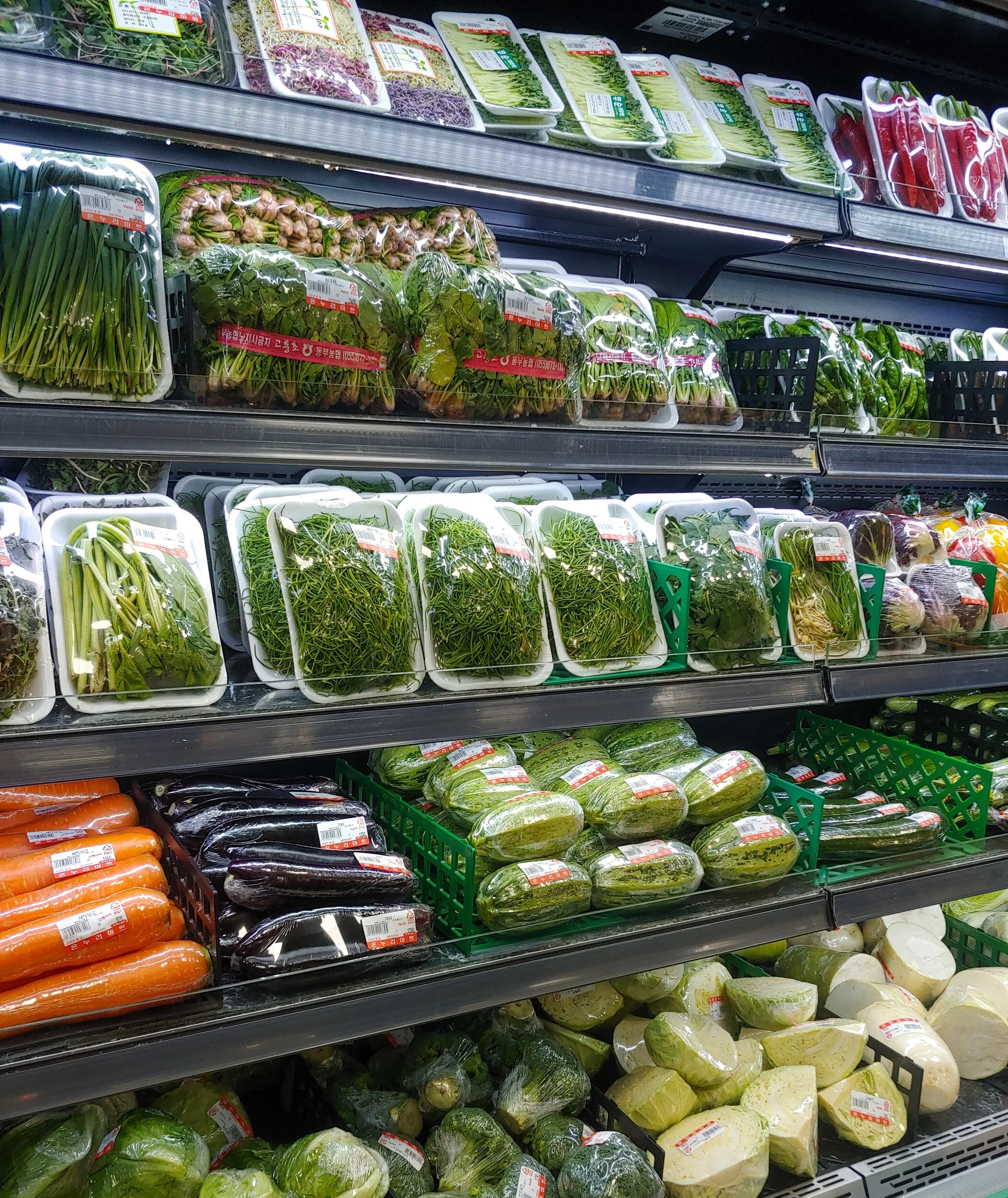 Senate Bill 17 Seeks to Restrict Eligibility for Food Assistance and Health Care During a Pandemic