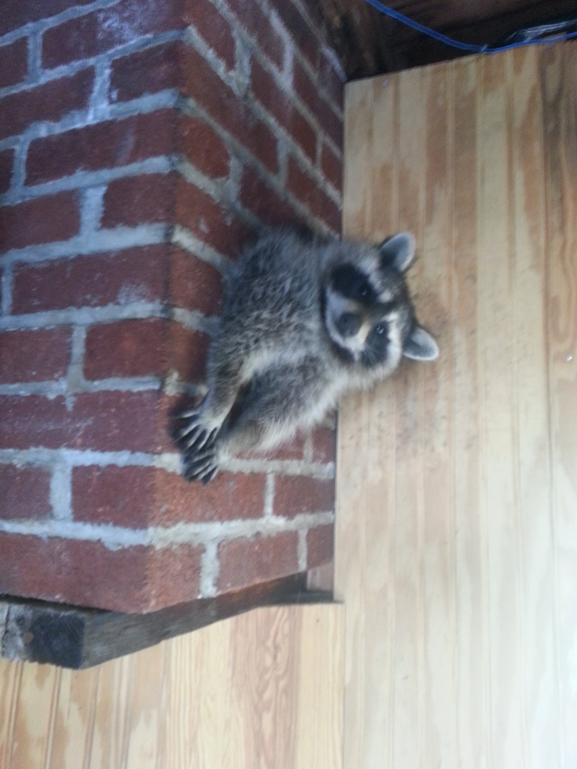 20131114_123448.jpg