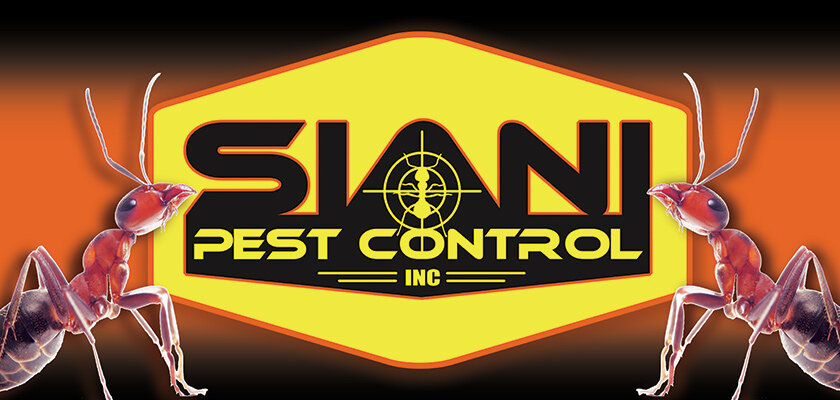 Plano Pest Control Service