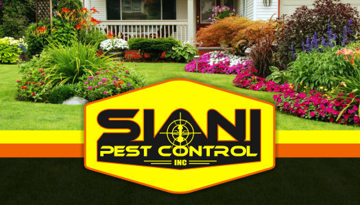 RESIDENTIAL PEST CONTROL