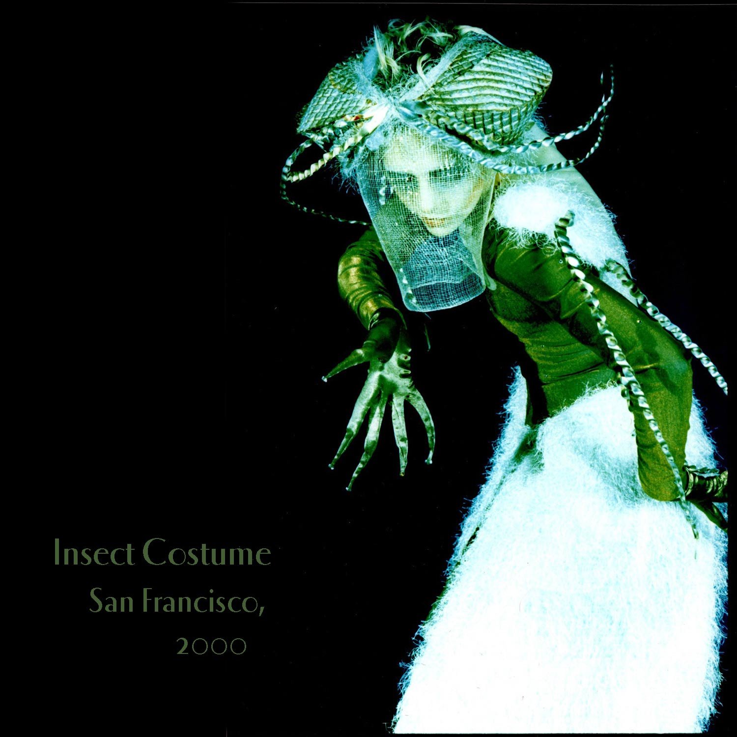 Insect-Costume.jpg