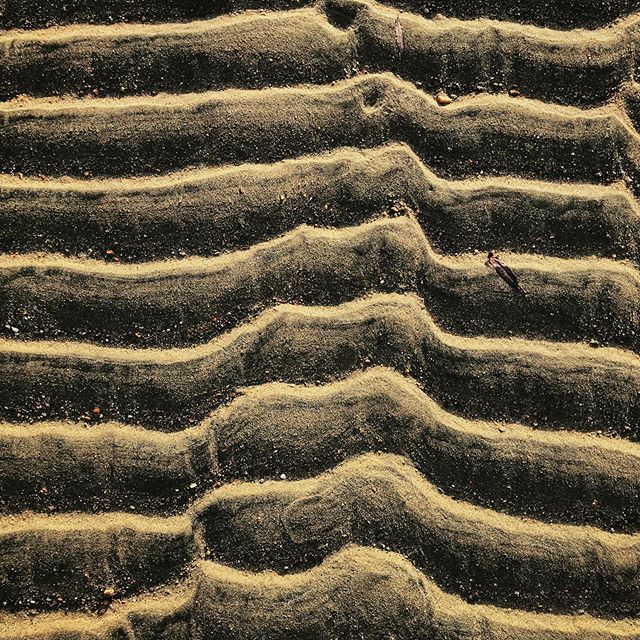 Golden Granite 
#gold #shores #newzealand #softrock #coolas #sand #pattern