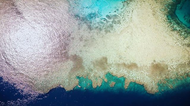 Reef World 
#coral #reef #world #fiji #ocean #protect #blue