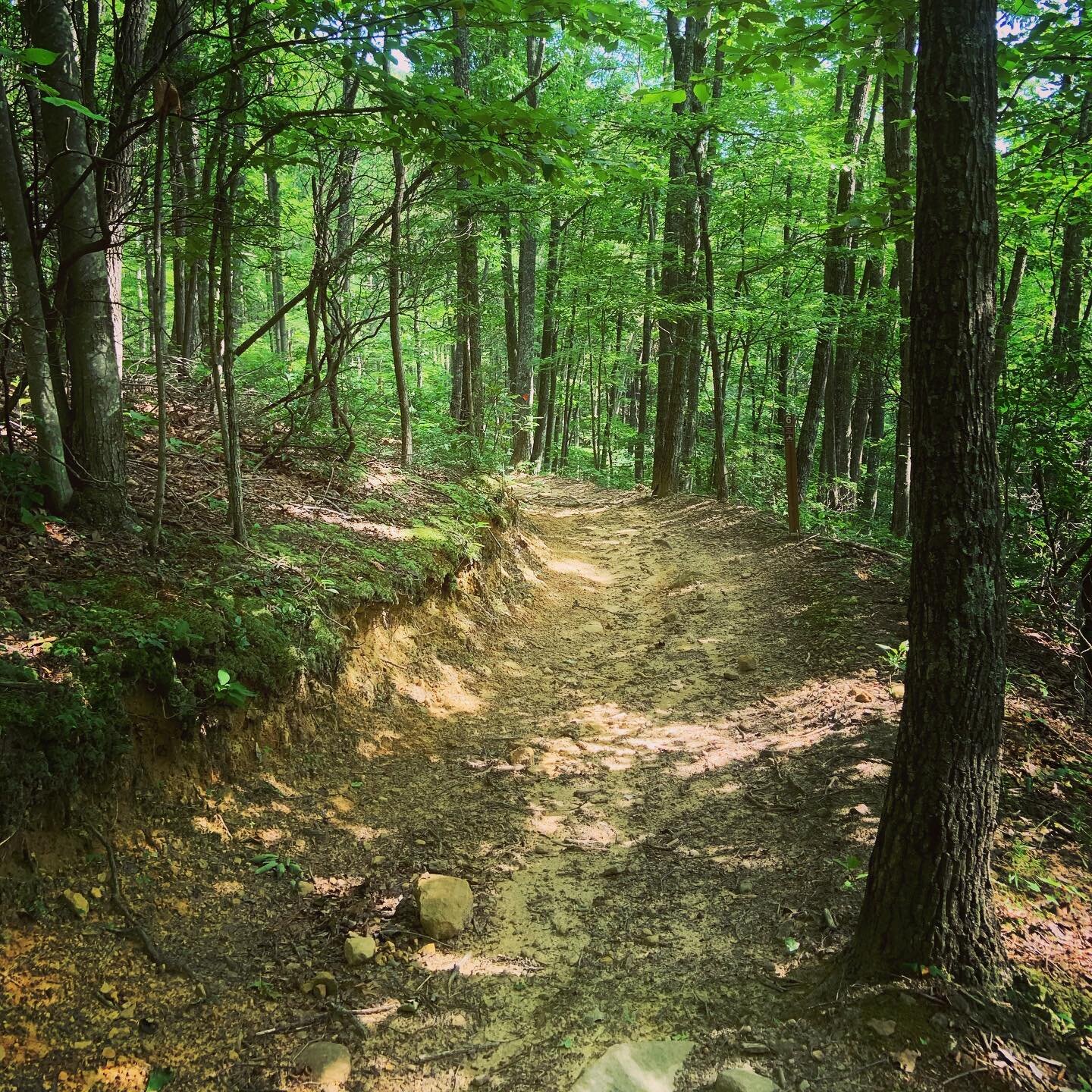 Final trail section of War Daddy and Sandlin&rsquo;s Shred. Some parts are awesome and some still need some tidying up.  But fun nonetheless!