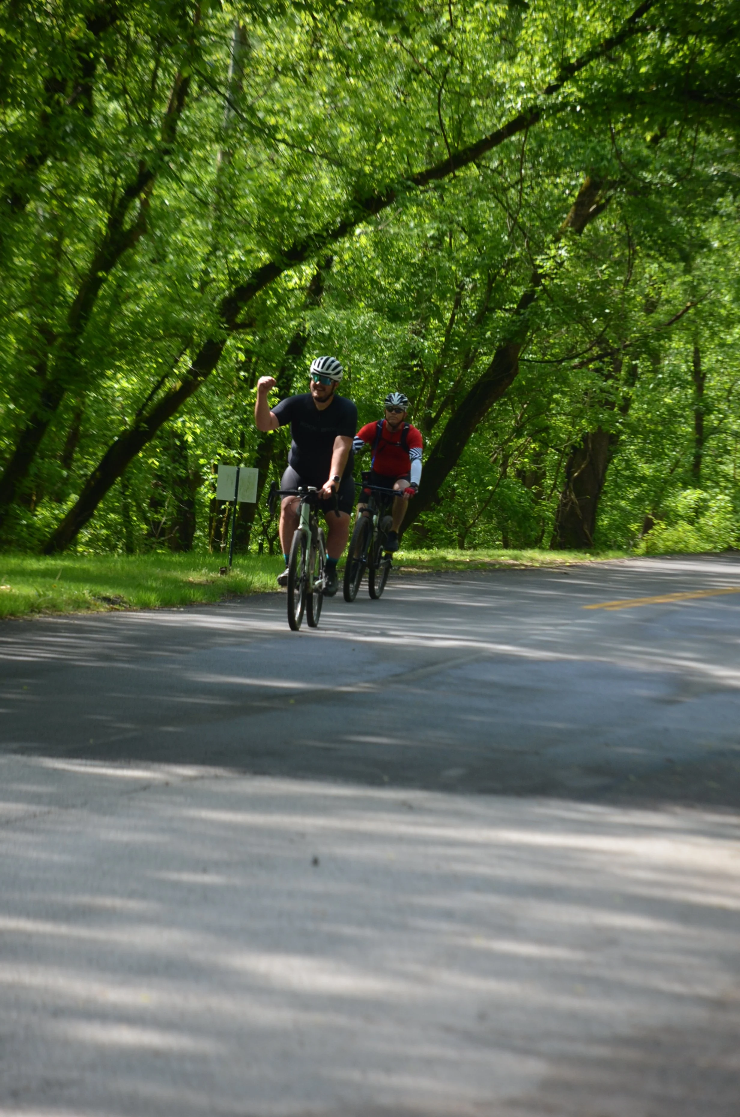 DSC_1233.JPG