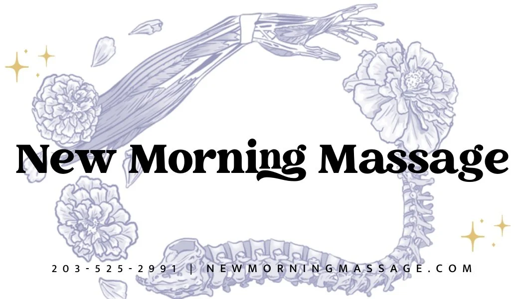 Welcome to the Studio!