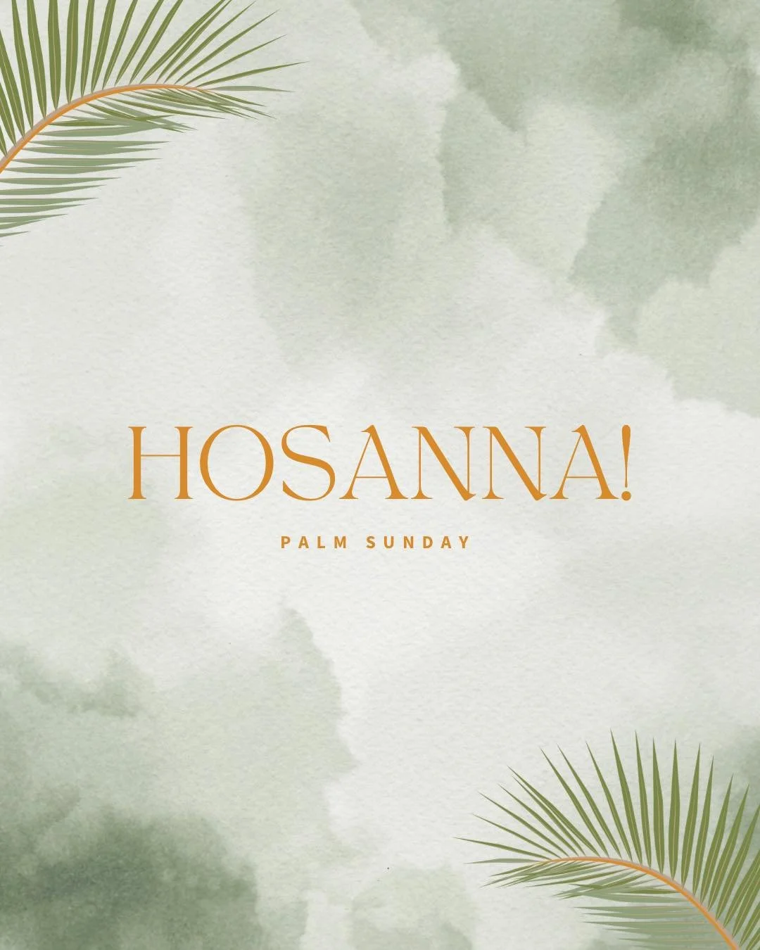&ldquo;Hosanna&hellip; Blessed is He who comes in the name of the Lord!&rdquo; &mdash; Matthew 21:9 (NKJV) 🌿

Jesus is King.

#PalmSunday #HolyWeek #JesusIsKing